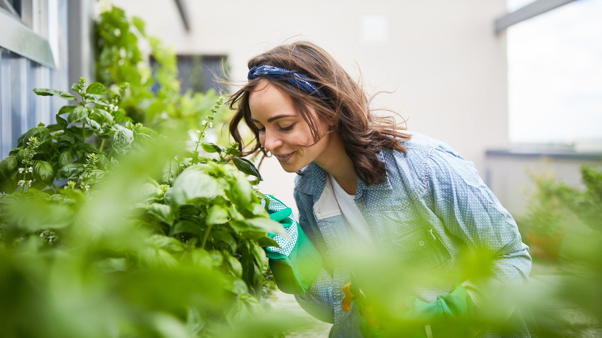 Vivir en un entorno “verde” retrasa el envejecimiento