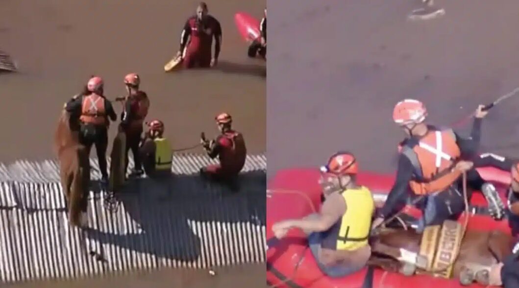 Rescatan a caballo que quedó atrapado en el techo de una casa, en medio de las inundaciones en Brasil