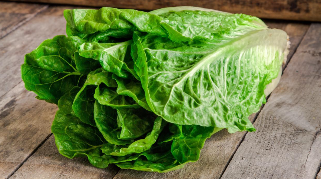 Proveedor de Taco Bell retira lechuga iceberg, procedente de México, ligada a brote de «diarrea explosiva» en EU